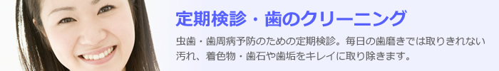 定期検診・歯のクリーニング